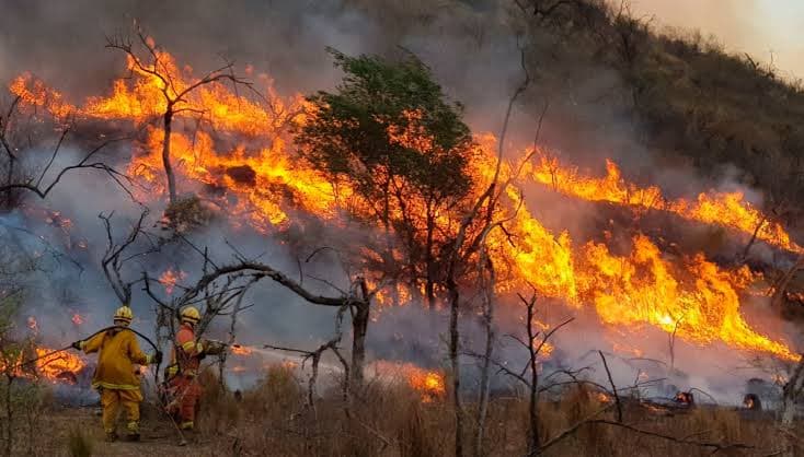 Córdoba, bajo riesgo extremo de incendios por ráfagas que podrían superar los 100 km/h