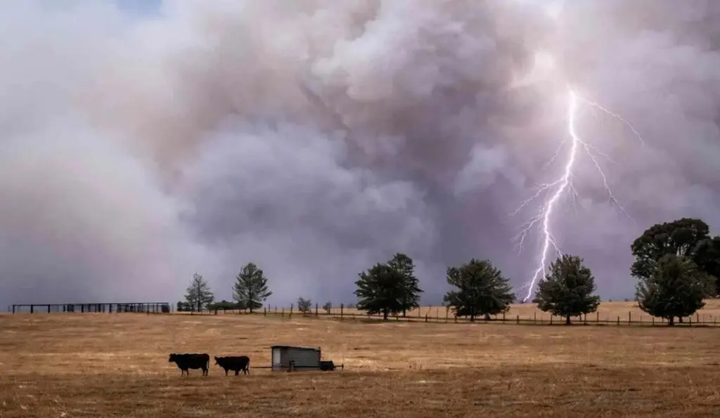 Argentina se prepara para un "El Niño" que podría estar entre los más fuertes en décadas