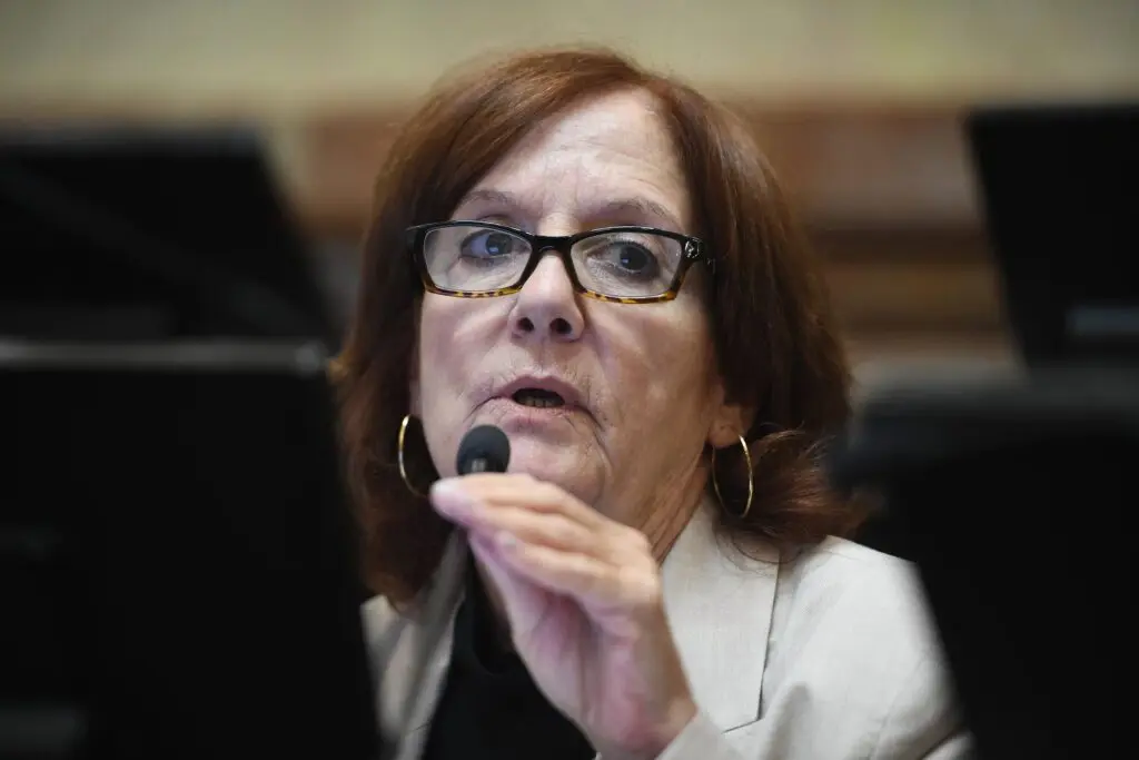 Vigo dijo que el proyecto de propiedad privada terminó siendo “un mamarracho” de temas inconexos