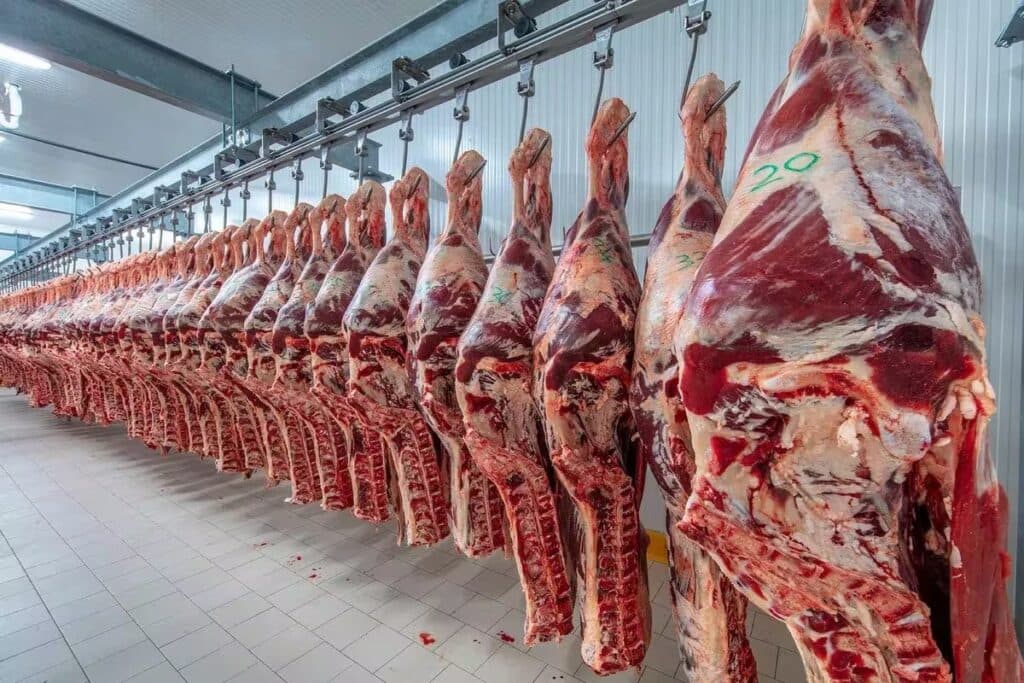 Carne vacuna en caída histórica: cada argentino consume casi 5 kilos menos por año